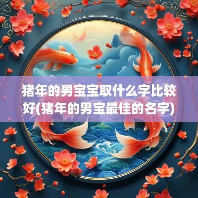 猪年的男宝宝取什么字比较好(猪年的男宝最佳的名字)