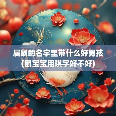 属鼠的名字里带什么好男孩(鼠宝宝用琪字好不好)
