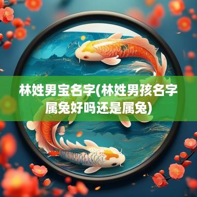 林姓男宝名字(林姓男孩名字属兔好吗还是属兔)