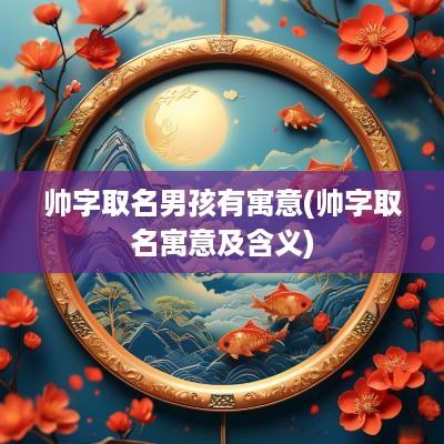 帅字取名男孩有寓意(帅字取名寓意及含义)