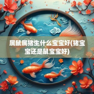 属鼠属猪生什么宝宝好(猪宝宝还是鼠宝宝好)