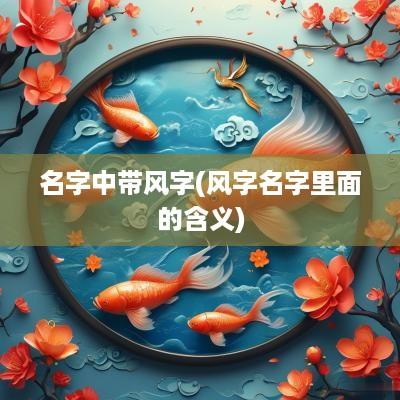 名字中带风字(风字名字里面的含义)