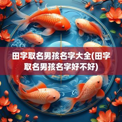 田字取名男孩名字大全(田字取名男孩名字好不好)