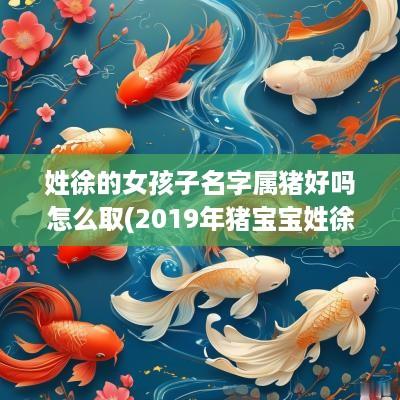 姓徐的女孩子名字属猪好吗怎么取(2019年猪宝宝姓徐男孩名字大全)