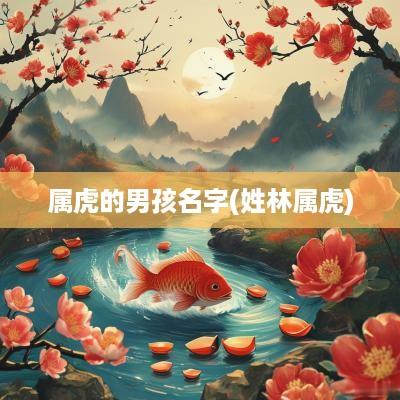 属虎的男孩名字(姓林属虎)
