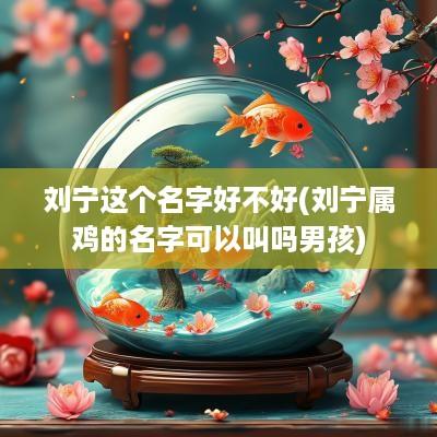 刘宁这个名字好不好(刘宁属鸡的名字可以叫吗男孩)