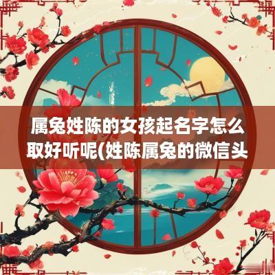 属兔姓陈的女孩起名字怎么取好听呢(姓陈属兔的微信头像)