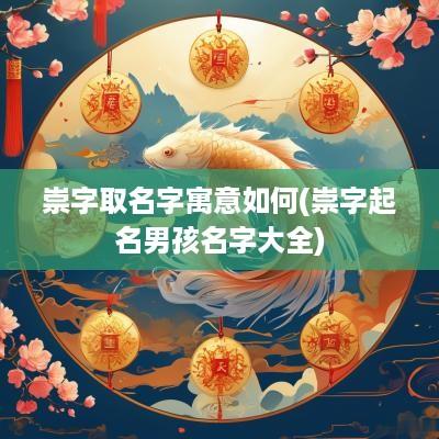 崇字取名字寓意如何(崇字起名男孩名字大全)
