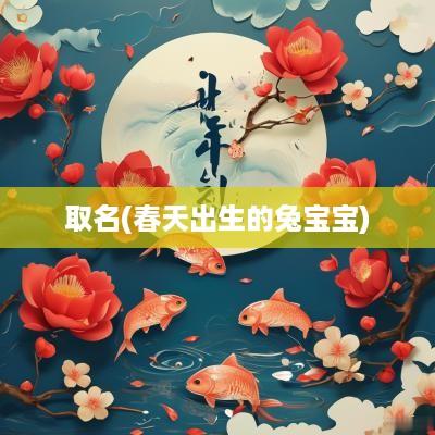 取名(春天出生的兔宝宝)