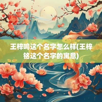 王梓鸣这个名字怎么样(王梓铭这个名字的寓意)