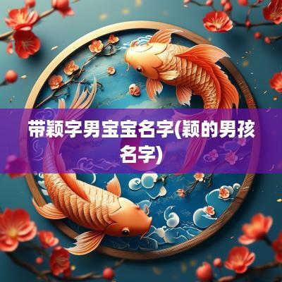 带颖字男宝宝名字(颖的男孩名字)