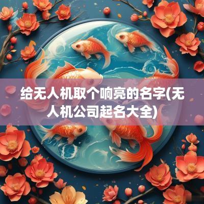 给无人机取个响亮的名字(无人机公司起名大全)