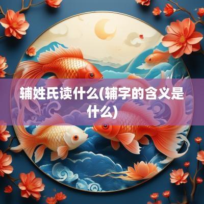 辅姓氏读什么(辅字的含义是什么)