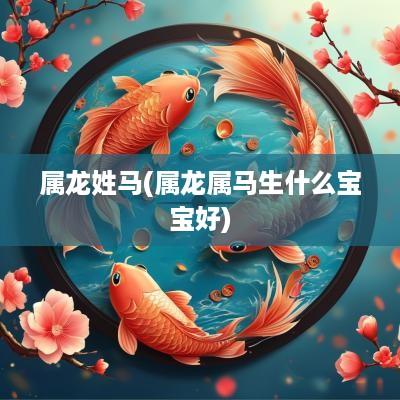属龙姓马(属龙属马生什么宝宝好)