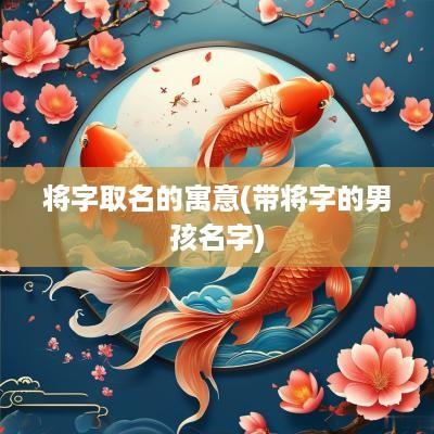 将字取名的寓意(带将字的男孩名字)