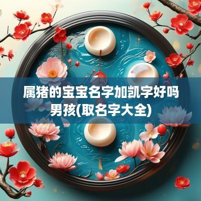 属猪的宝宝名字加凯字好吗男孩(取名字大全)