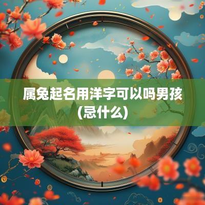 属兔起名用洋字可以吗男孩(忌什么)