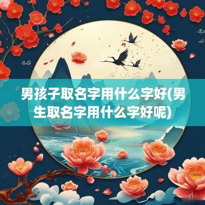 男孩子取名字用什么字好(男生取名字用什么字好呢)