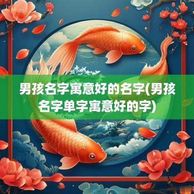 男孩名字寓意好的名字(男孩名字单字寓意好的字)