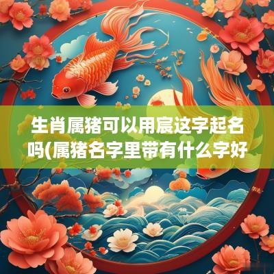 生肖属猪可以用宸这字起名吗(属猪名字里带有什么字好)