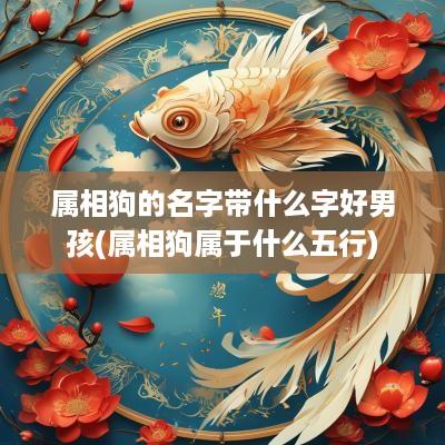 属相狗的名字带什么字好男孩(属相狗属于什么五行)