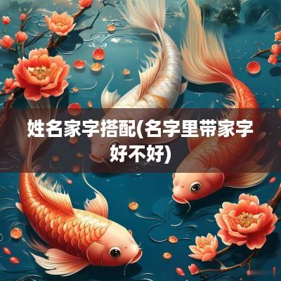 姓名家字搭配(名字里带家字好不好)