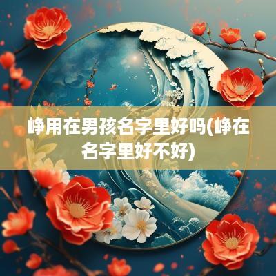 峥用在男孩名字里好吗(峥在名字里好不好)
