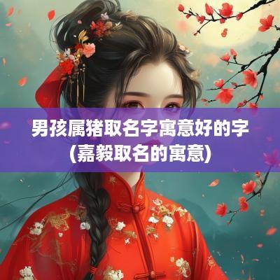 男孩属猪取名字寓意好的字(嘉毅取名的寓意)