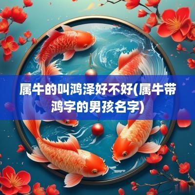 属牛的叫鸿泽好不好(属牛带鸿字的男孩名字)