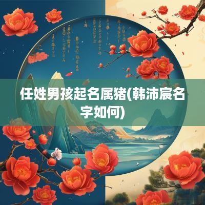 任姓男孩起名属猪(韩沛宸名字如何)