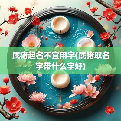 属猪起名不宜用字(属猪取名字带什么字好)
