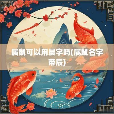 属鼠可以用晨字吗(属鼠名字带辰)