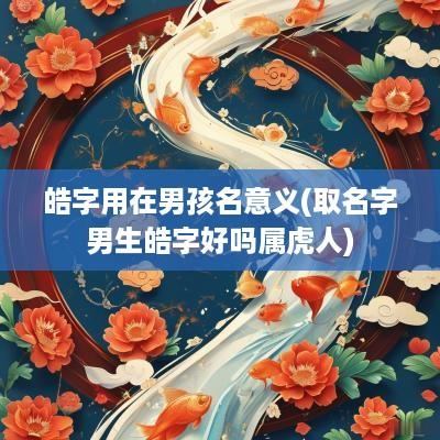 皓字用在男孩名意义(取名字男生皓字好吗属虎人)