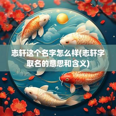 志轩这个名字怎么样(志轩字取名的意思和含义)