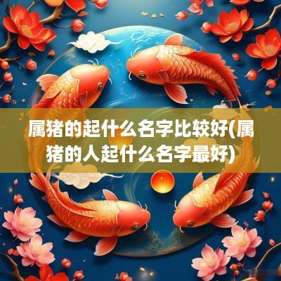 属猪的起什么名字比较好(属猪的人起什么名字最好)