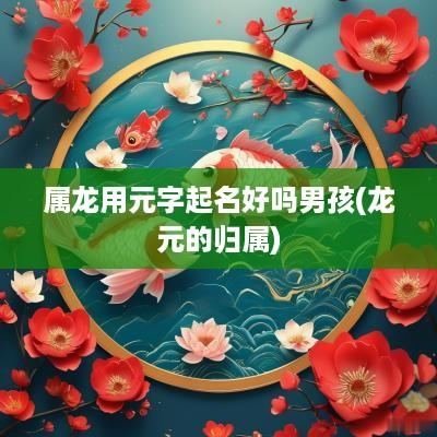 属龙用元字起名好吗男孩(龙元的归属)