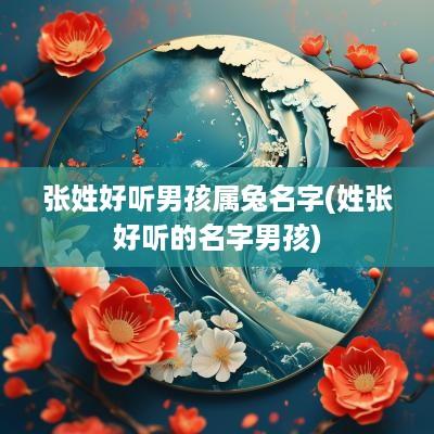 张姓好听男孩属兔名字(姓张好听的名字男孩)