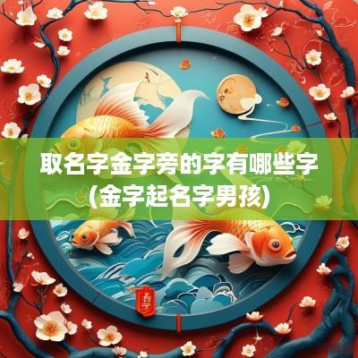 取名字金字旁的字有哪些字(金字起名字男孩)