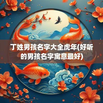 丁姓男孩名字大全蛇年(好听的男孩名字寓意最好)