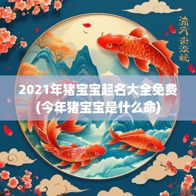2025年猪宝宝起名大全免费(今年猪宝宝是什么命)