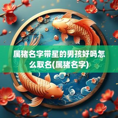 属猪名字带星的男孩好吗怎么取名(属猪名字)