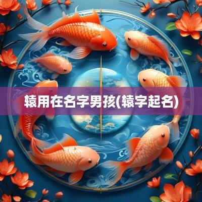 辕用在名字男孩(辕字起名)