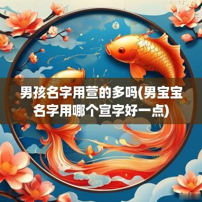 男孩名字用萱的多吗(男宝宝名字用哪个宣字好一点)