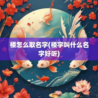 楼怎么取名字(楼字叫什么名字好听)