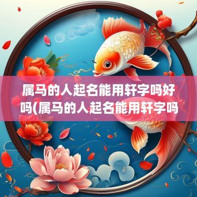 属马的人起名能用轩字吗好吗(属马的人起名能用轩字吗女孩)