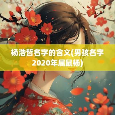 杨浩哲名字的含义(男孩名字2025年属鼠杨)