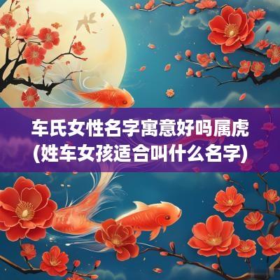 车氏女性名字寓意好吗属虎(姓车女孩适合叫什么名字)