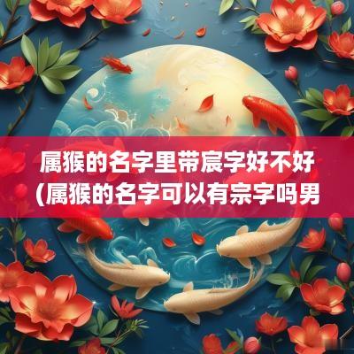 属猴的名字里带宸字好不好(属猴的名字可以有宗字吗男孩)