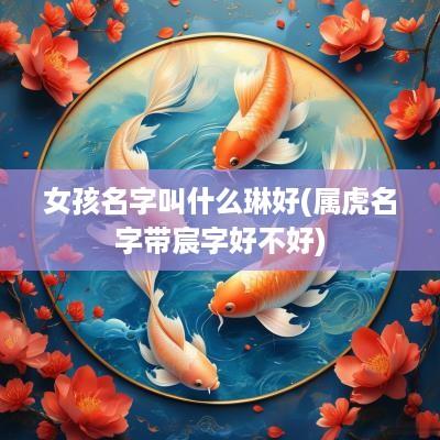 女孩名字叫什么琳好(属虎名字带宸字好不好)