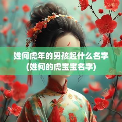 姓何蛇年的男孩起什么名字(姓何的虎宝宝名字)